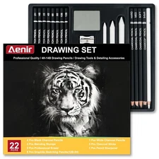 Charcoal Pencils for Drawing, Set of 22, Professional Drawing Sketch Pencils,