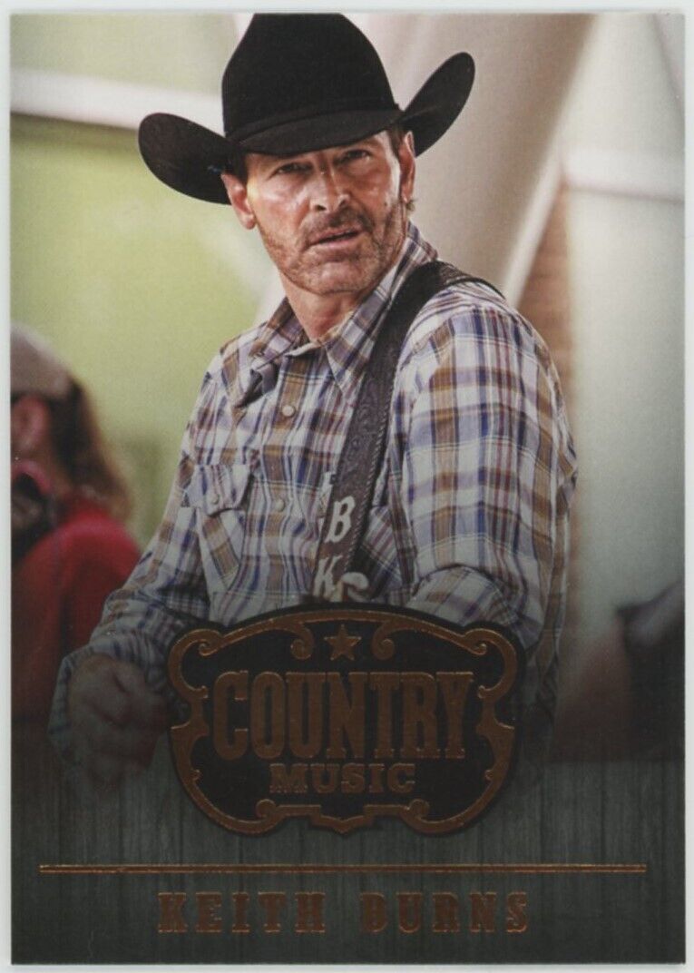 未開封 ボックス 2014 Panini Country Music Hobby 2014 Panini Country Music Checklist, Set Info, Boxes, More