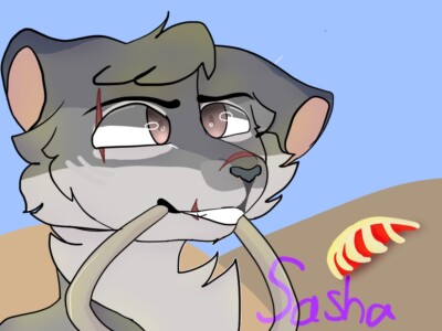 commissions Full coloring, shading, and backgrounds! Message me after buying!