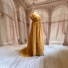 Regency Bridgerton Jane Austen Dress gold petals 1800s costume empire waist