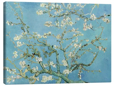 Leinwandbild Mandelblüte - Vincent van Gogh