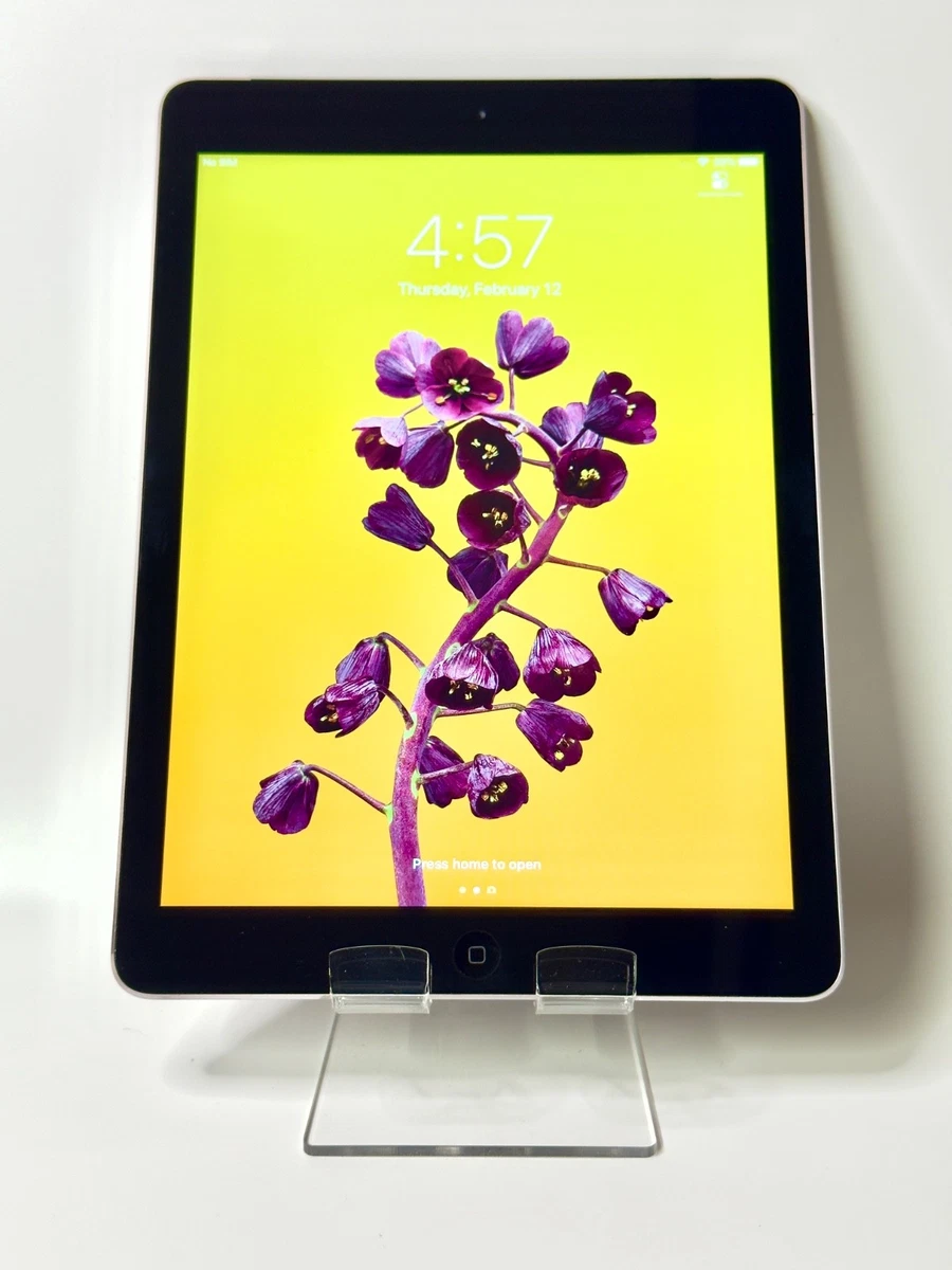 Apple iPad Air(第1 代)32 GB 平板电脑| eBay