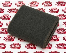 Apache RLX 450 Sport --  Air Filter