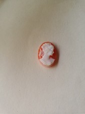Cameo Loose Pink & White Shell? AS IS