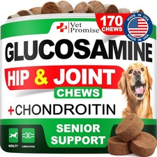 Advanced Glucosamine for Dogs - 170 Chews - Senior Hip and 170 Chews, Brown