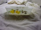 Fire King Gay Fad Casserole Dish Loaf Pan 1 Qt Bread 409 Milk Glass Ovenware Vtg