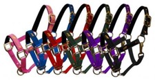 Pony size NYLON HALTER with "running horse" overlay 6 COLOR CHOICES adjustable