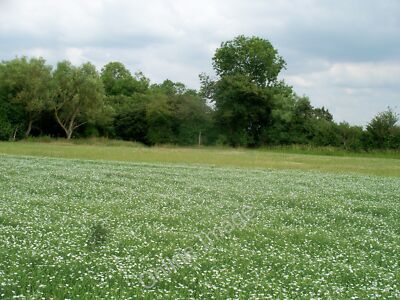 Foto 6x4 Wo ist der Weg Murcot Von der c2010 weiterhin keine Spur