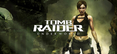 Tomb Raider: Underworld (PlayStation 3 PS3 Eng/Jap Platinum Trophy Service)