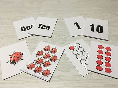 Ladybug  Numbers 4 ways - Math -Laminated Cards Set Counting. 1-10