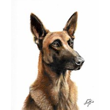   ORIGINAL Oil Dog Portrait Painting BELGIAN MALINOIS Artist Signed Artwork Art