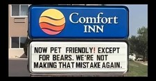 Comfort Inn Now Pet Friendly Except Bears We're Not Making THAT Mistake MAGNET