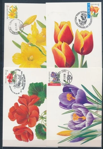 XE59657 Belgium 1999 -2005 flowers nature maxicards used