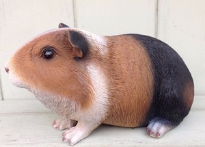 guinea pig ornament