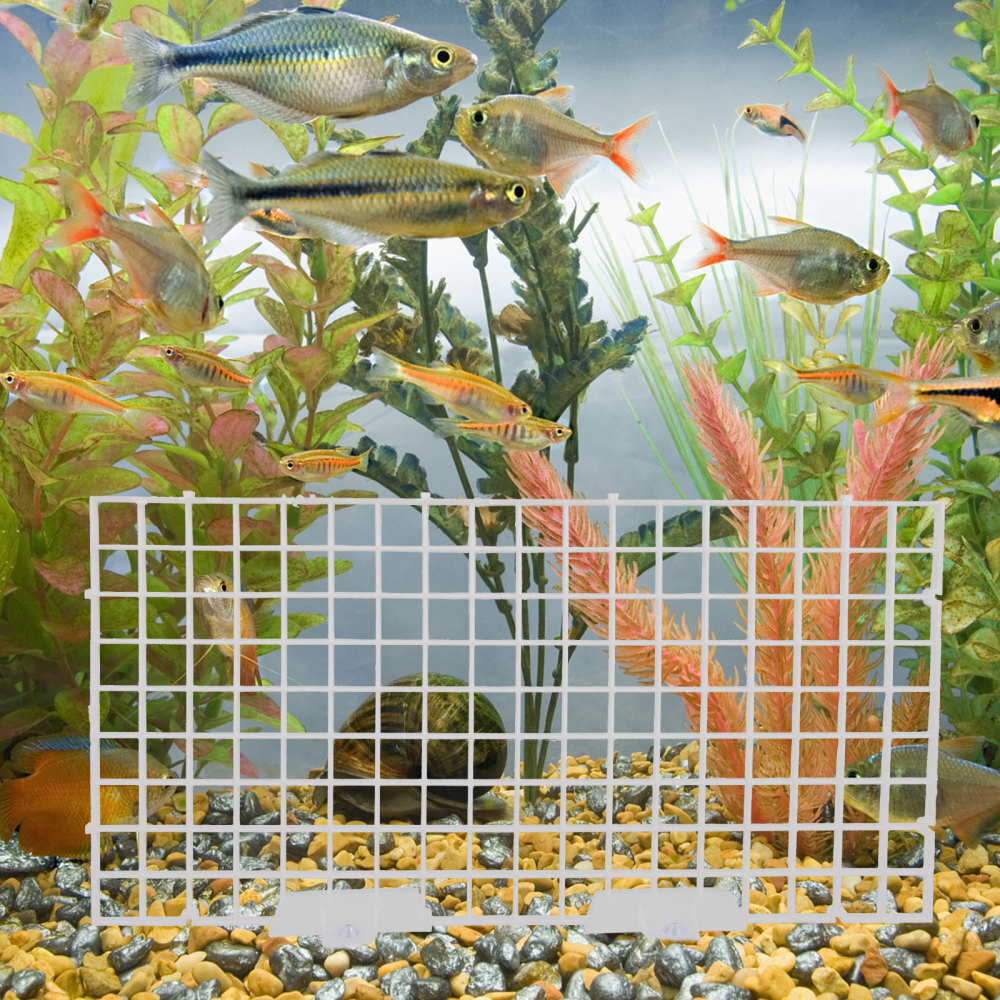 4 Sets 40 Gallon Breeder Tank Stand Aquarium Divider Accessories eBay