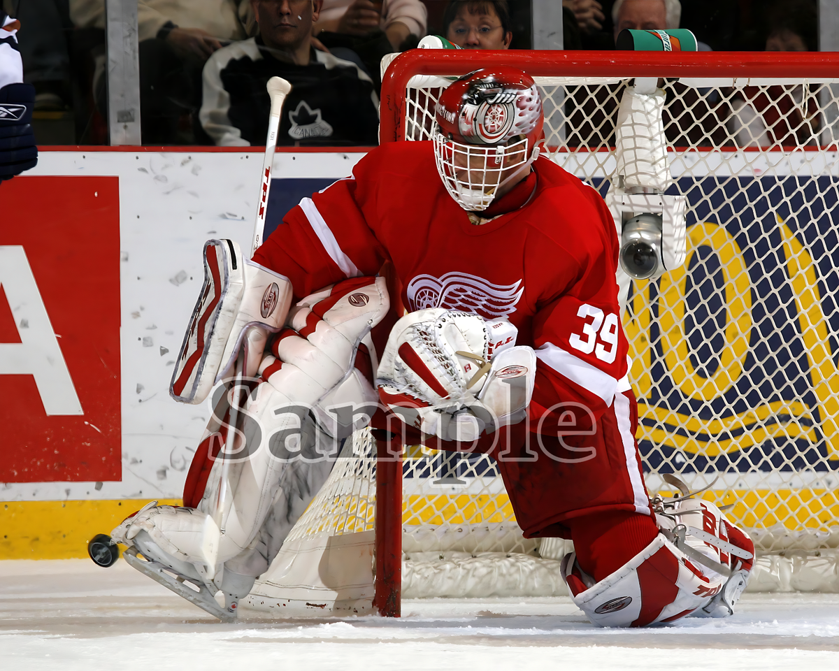 NHL Detroit Red Wings Dominik Hasek Kick Save Game Action Color 8