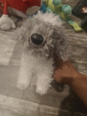 Sheep Dog Abrie Puppy 8'' Duglas Cuddle Toy plush Stuffed Animal 2021 #4008