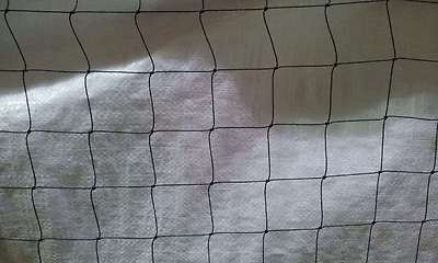 cat run netting