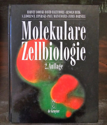 Molekulare Zellbiologie * Darnhall, Lodish, et al. *  2. Auflage * deutsch 1996