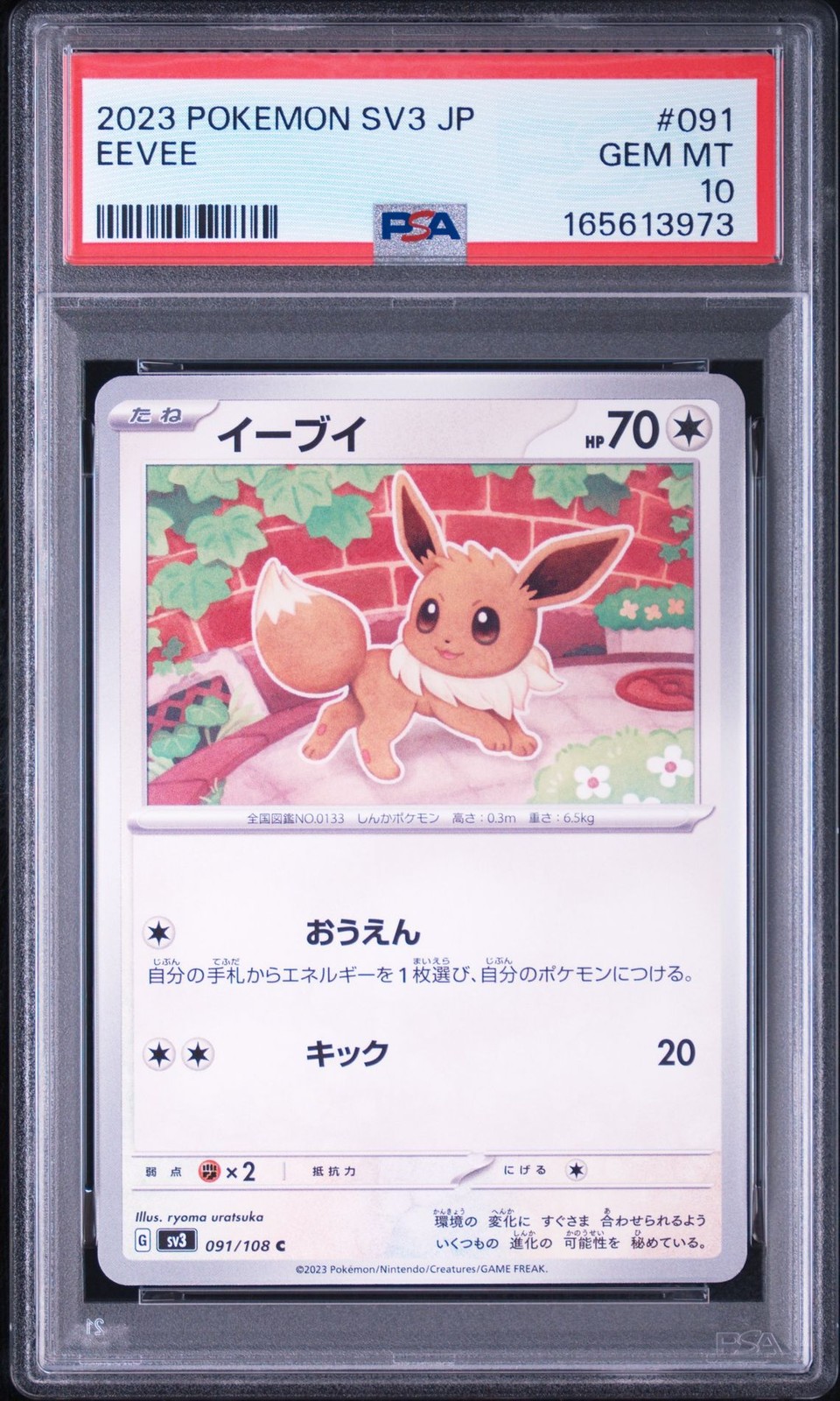 PSA 10 Pokemon Japanese Sv3: Ruler of the Black Flame #091/108 Eevee Common 2023
