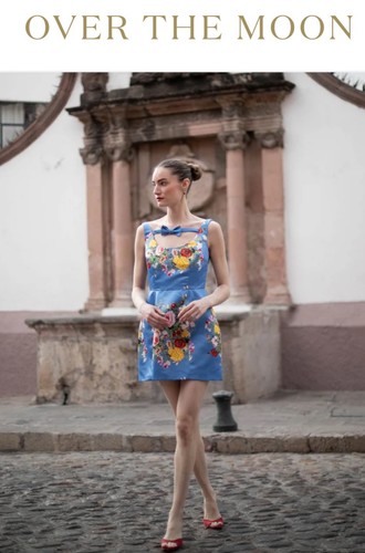 Damaris Bailey Marissa Dress $498 NWT Size Large