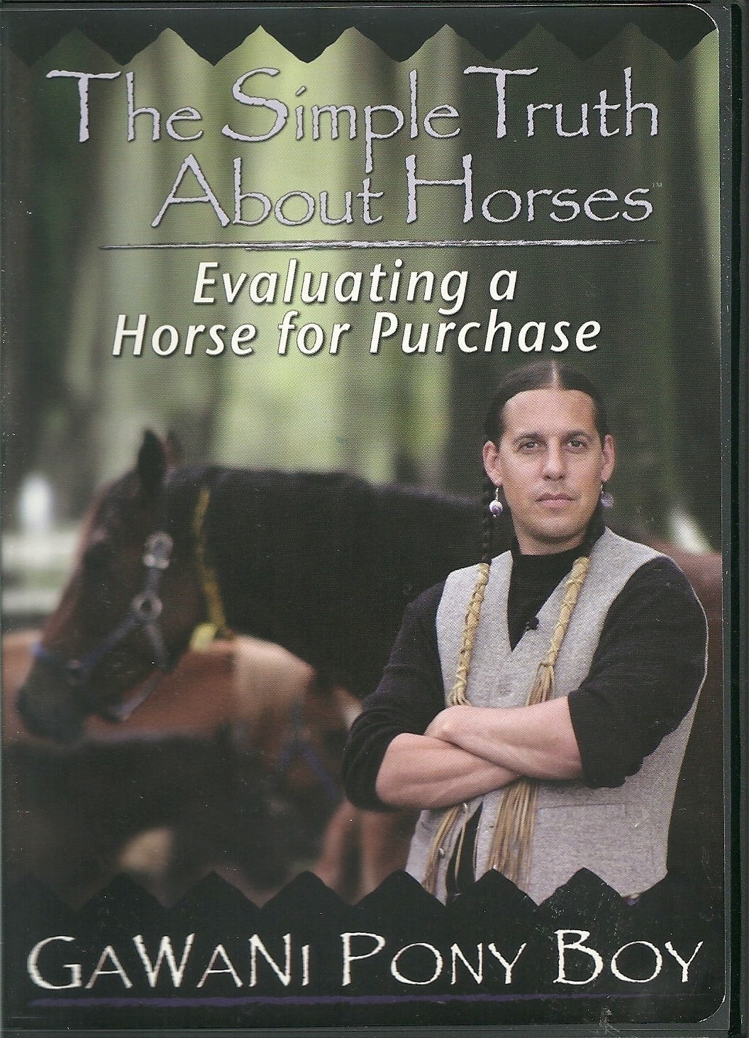 THE SIMPLE TRUTH ABOUT HORSES  EVALUATING A HORSE FOR PURCHASE - GAWANI PONY BOY