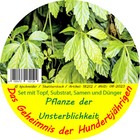 Bild 2 von 3