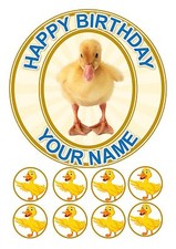 DUCK DUCKS CAKE TOPPER ROUND EDIBLE  ICING FROSTING 7.5" + 8 CUPCAKE TOPPERS