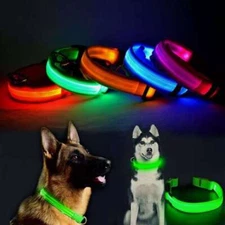 USB Rechargeable Pet LED Light Up Glow-In-The-Dark Collar Dog Night Safety Micro