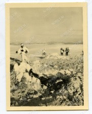 Foto 2. Gebirgsdivision Gebirgsjäger überrannte russische Stellung Front (W446)