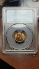 1909 VDB Lincoln Wheat Cent Penny 1C PCGS MS65 RD Red  Very Nice            5673