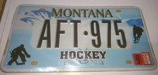 PLAQUE IMMATRICULATION LICENSE PLATE AMERICAINE USA MONTANA HOCKEY AFT 975