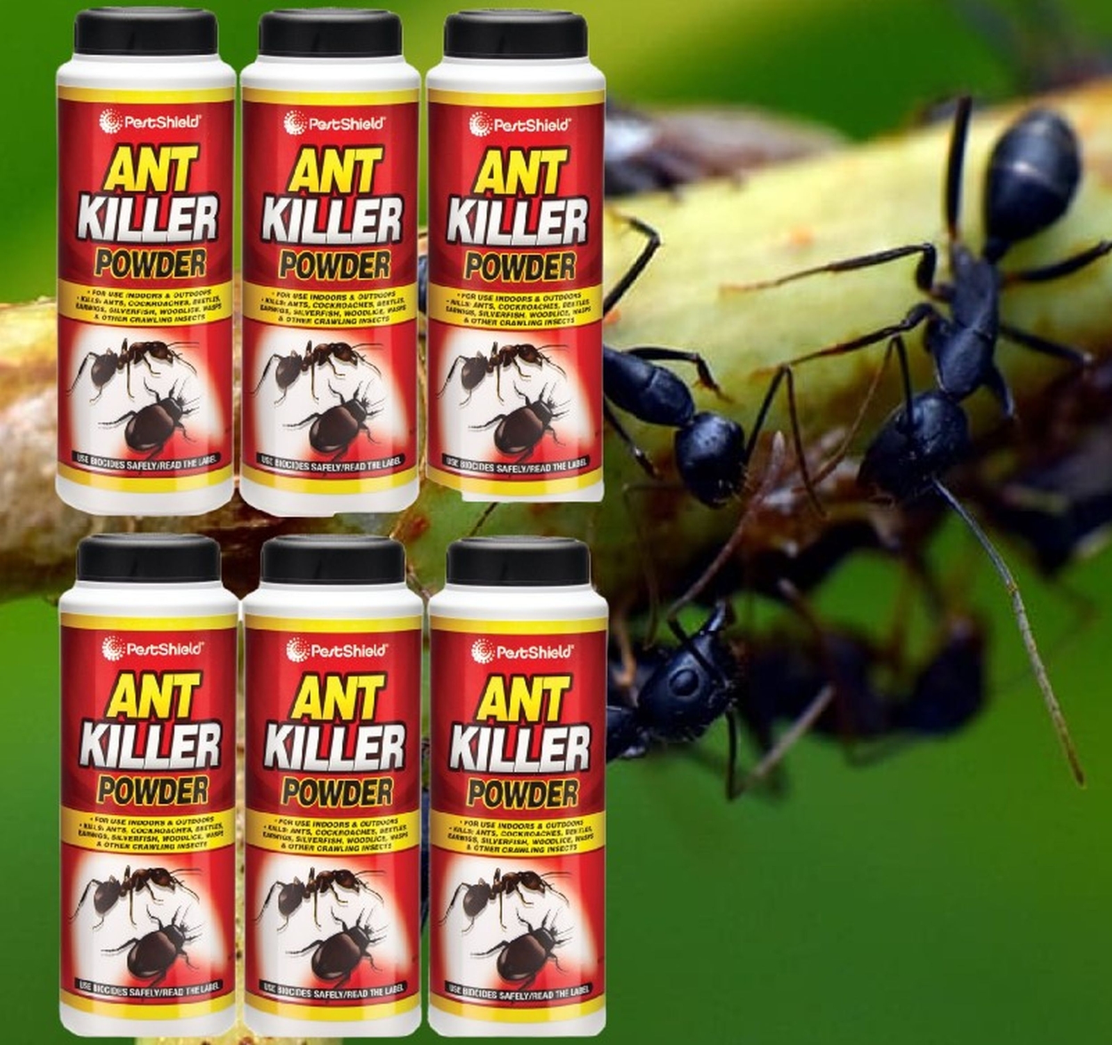 6 Ant Killer Powder Crawling Insect Wasp Nest Killer Pestshield Ant Powder 150g