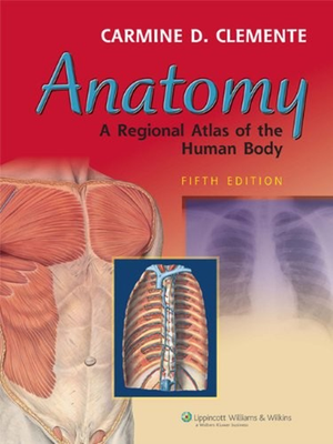 #ad #ad Anatomy : A Regional Atlas Human Body Paperback Carmine D. Clemen $7.78