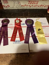 4 VINTAGE  HORSE SHOW Early 1970’s HORSE SHOW RIBBONS