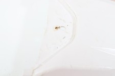 Bavette MH MOTORCYCLES MH10 50 SM 2008 à 2015 - photo 1