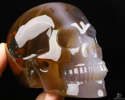 5.0'' Premium Brazilian Agate Carved Crystal skull,Super Realistic, Healing