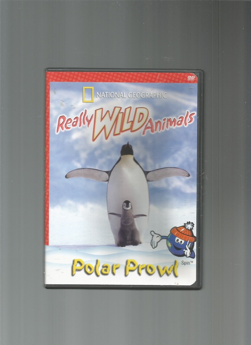 National Geographic: Really Wild Animals: Polar Prowl, DVD