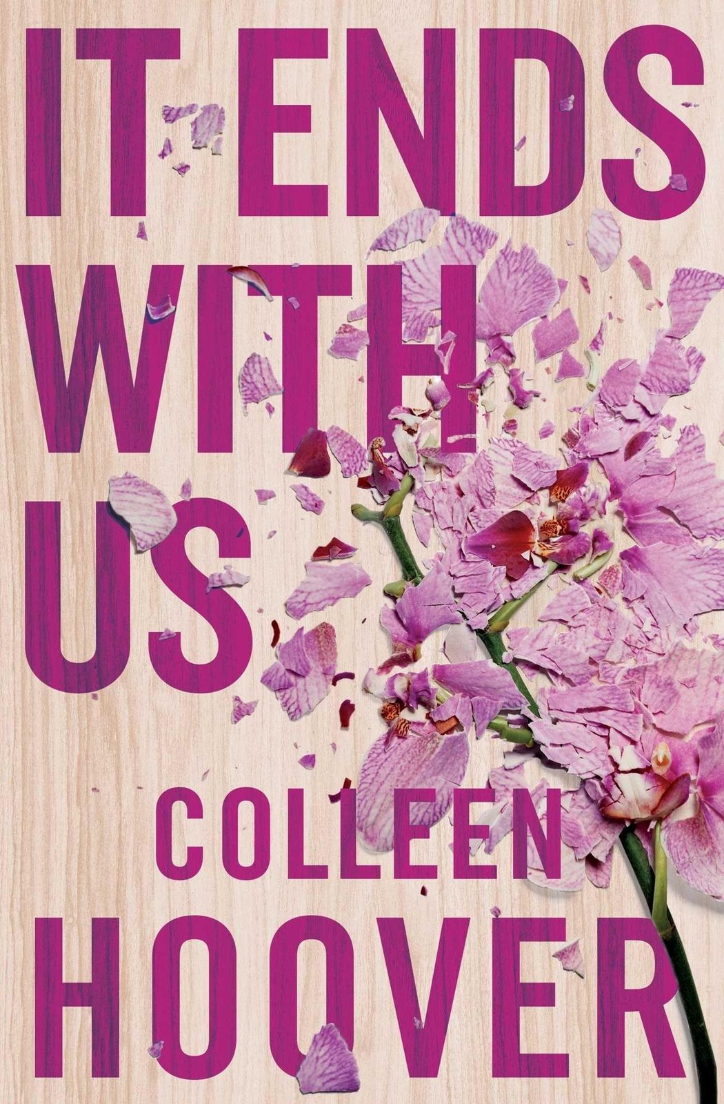 Thumbnail - Colleen Hoover It Ends With Us