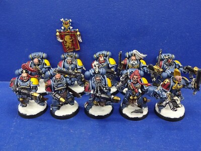 10 Grey Hunter der Space Wolves TOP BEMALT
