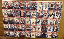 Miracle on Ice -1980 Olympics Hockey Card  Craig Eruzione Cards  + MINNESOTA  tc