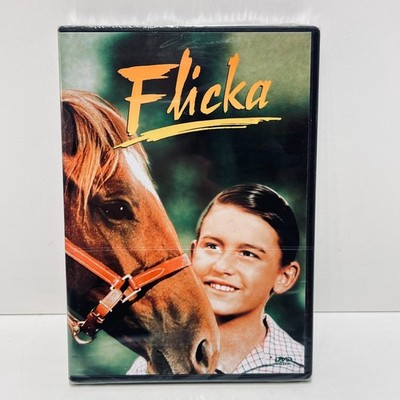 DVD - Flicka - NEU