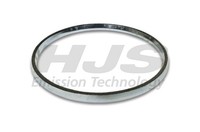Dichtring Abgasrohr HJS 83 14 1973 FüR Opel Katalysator Astra T92 CC T98 Caravan