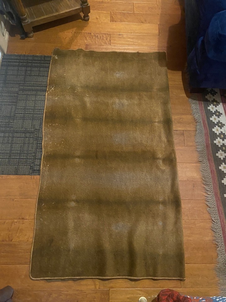 Antique Horse Hair Sleigh Carriage Blanket. eBay