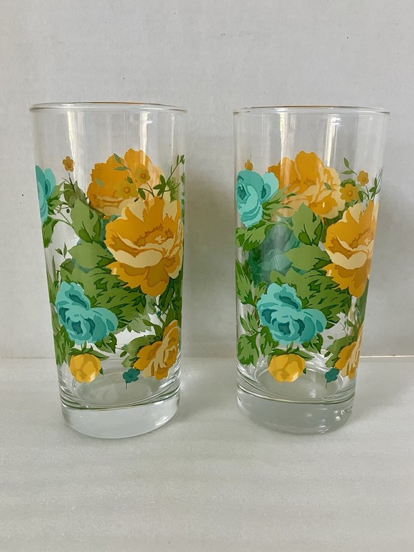 2 Pioneer Woman Rose Shadow Drinking Glasses Tumblers Blue Yellow Green Floral