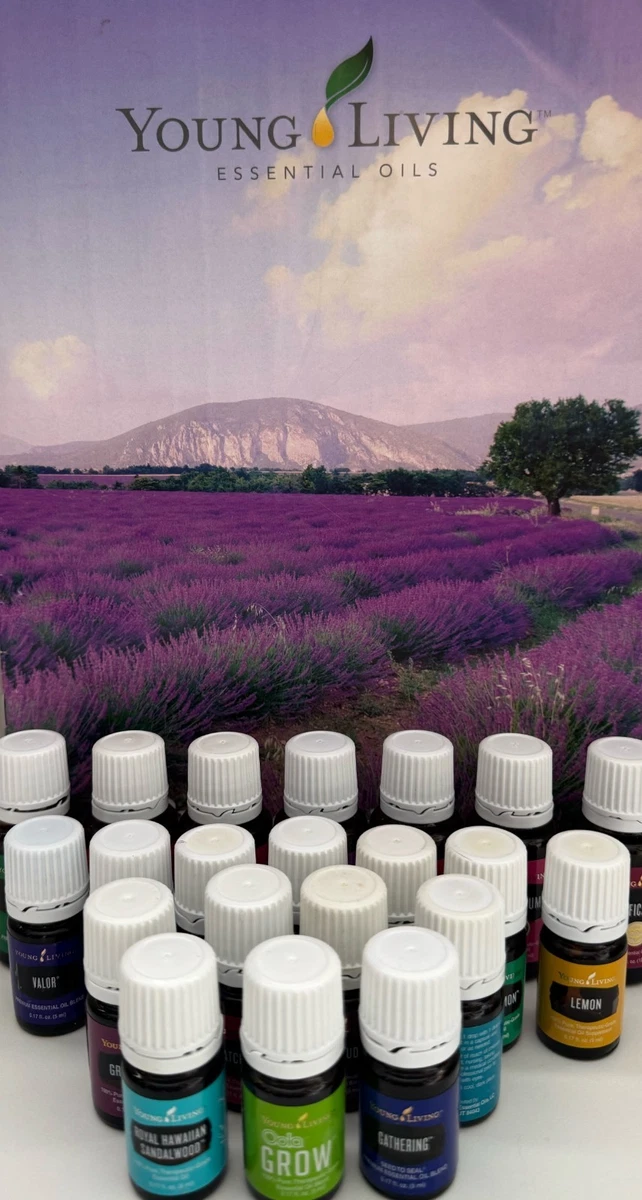 Young Living Essential Oils Aromatherapy Essential Oil Helichrysum