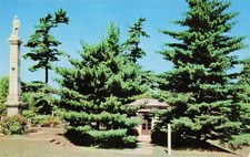 Kentucky Louisville President Zachary Taylor Monument and Tomb Vtg Postcard I10