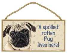 Spoiled Rotten PUG Fawn Brown Dog 5 x 10 Wood SIGN Plaque USA Made