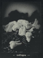 NORDVARGR + TREPANERINGSRITUALEN Beta Ænigma CD A5 Digipack 2022