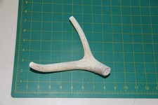 Small Branched Deer Antler Dog Chew 9 / bone chews deer elk treats deer 1102